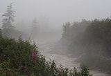 IMG 4526