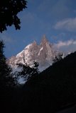 IMG 4631