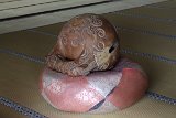 IMG 1151