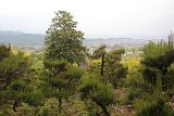 IMG 1172