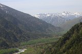 IMG 1551