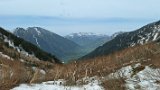IMG 1556c