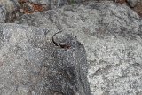 IMG 1558