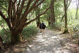IMG 1560
