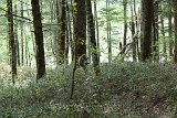 IMG 1569