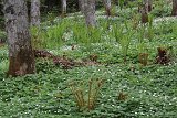 IMG 1584