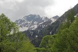 IMG 1590