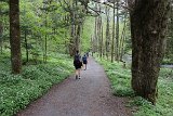 IMG 1595