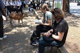 IMG 1181
