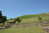 IMG 1219