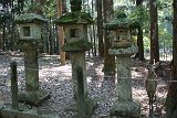 IMG 1221
