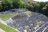 IMG 1276