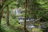 IMG 1346