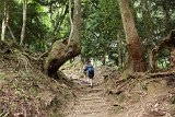 IMG 1351