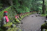 IMG 1517