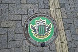 IMG 1520y