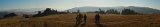 sadecki pano
