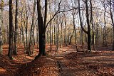 IMG 2811