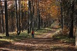 Rowery Beskid Śląsko - Morawski