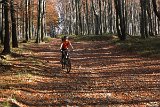 IMG 4528