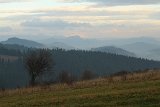 IMG 6397