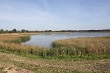 IMG 6213