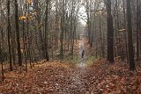 IMG 5768