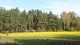 IMG 0026