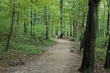 IMG 9916