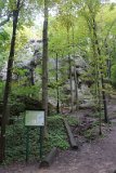 IMG 9918