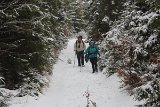 IMG 0695