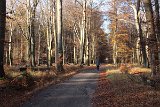 IMG 0641
