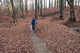 IMG 0643