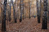IMG 0648