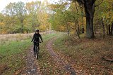 IMG 0601