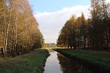IMG 0611