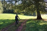 IMG 3817