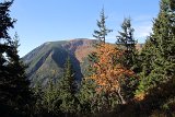 IMG 3858