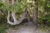 IMG 3871