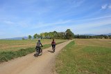 IMG 3907