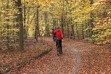 IMG 4013