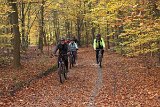 IMG 4015