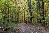 IMG 4019