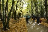 IMG 3958
