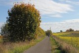 IMG 3967