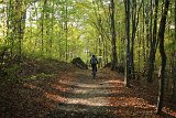 IMG 3984