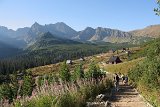 IMG 0186