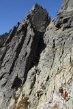 IMG 0217
