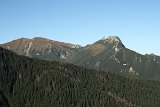 IMG 0229