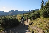 IMG 0232